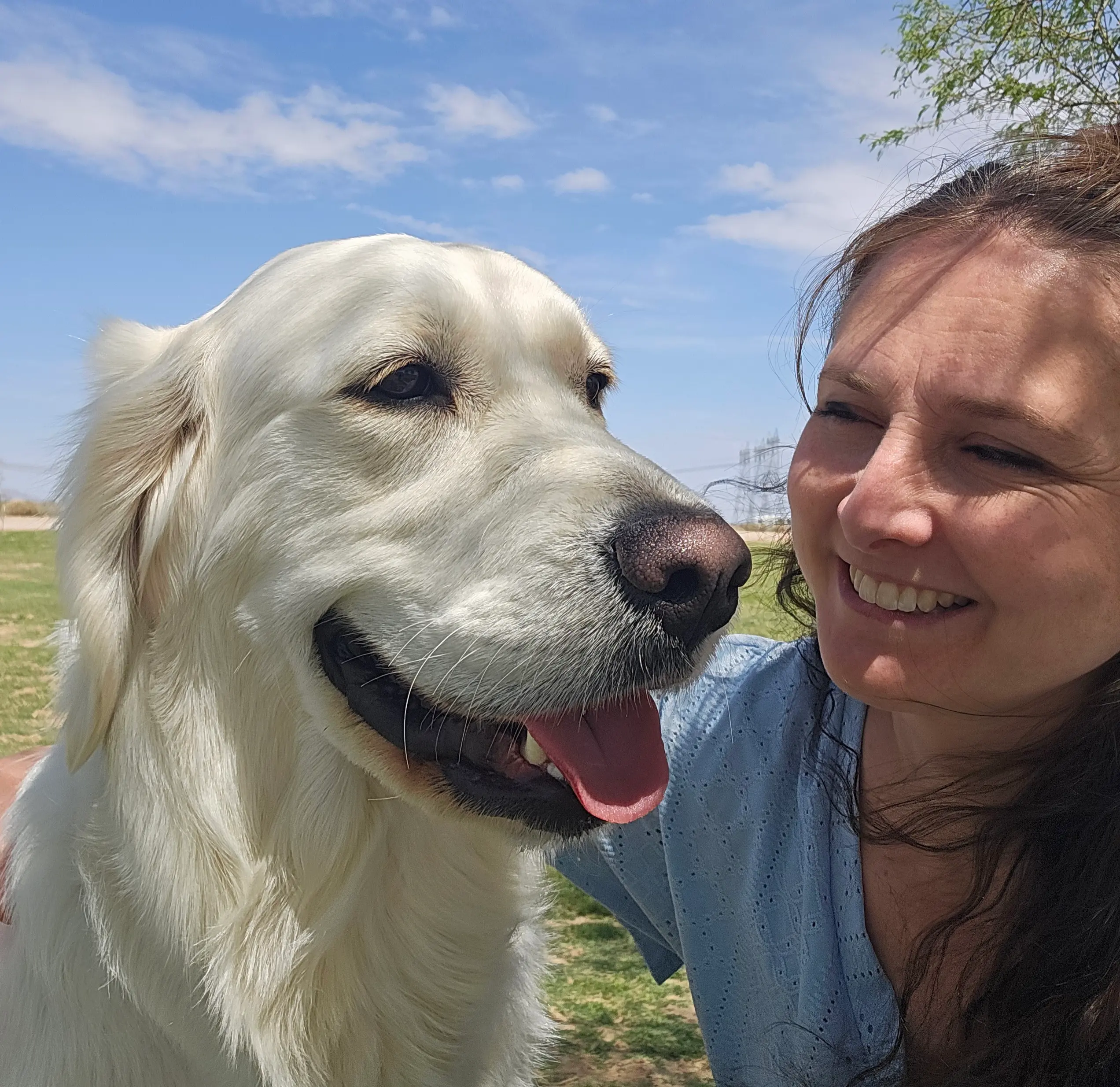 The Bond Between Humans and Golden Retrievers