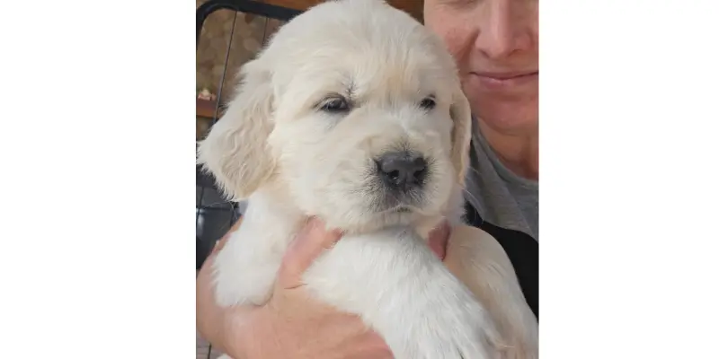 What It’s Really Like Being a Breeder