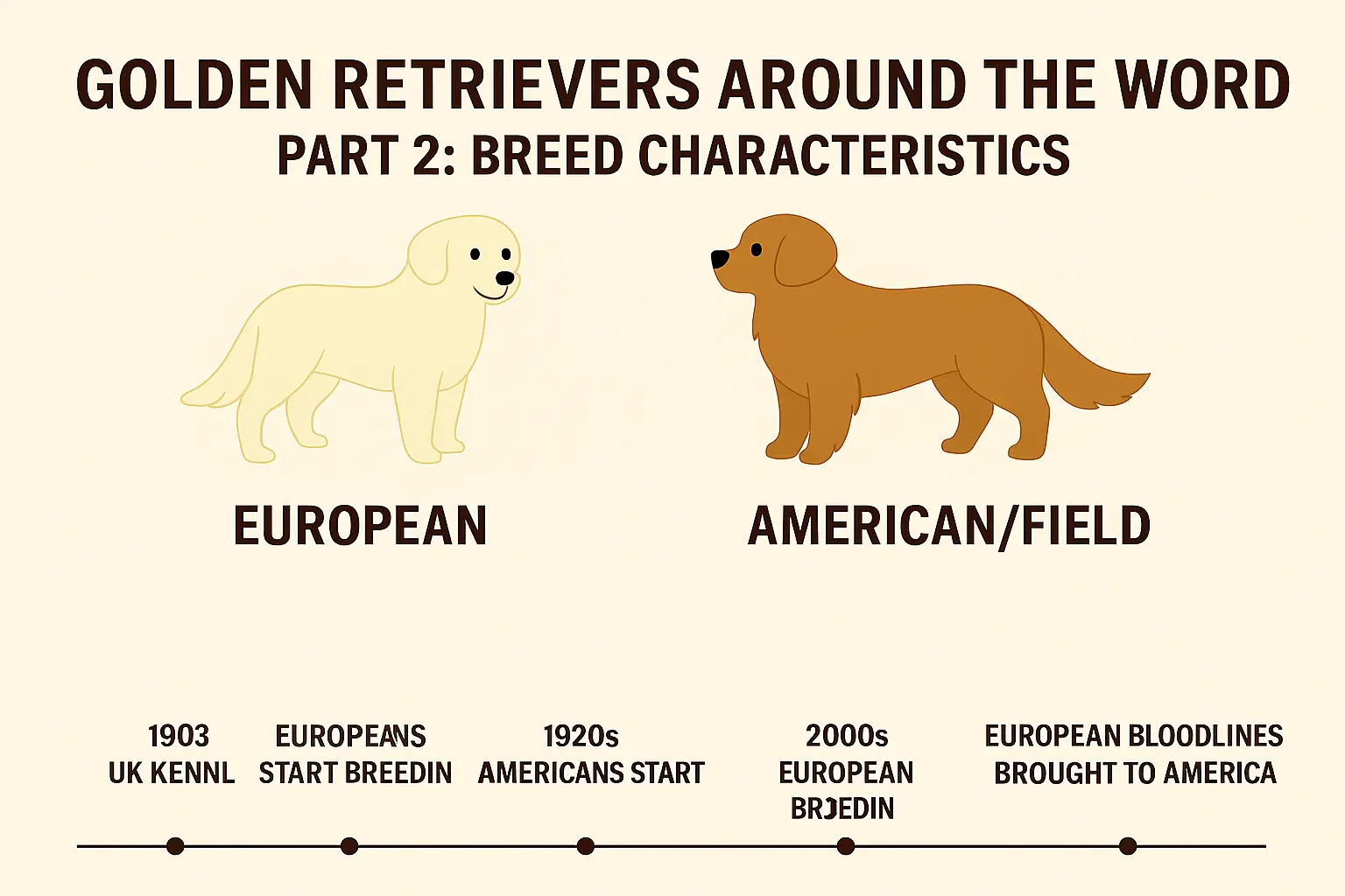 golden retriever history